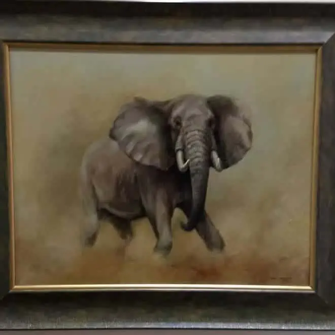 Mark SmallmanBull Elephant oil board £695 64 x 54